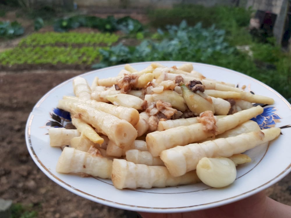 Măng sặt 
